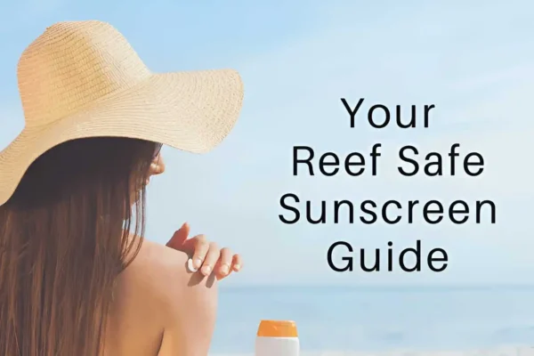 mineral-sunscreen-guide-reef-safe-chemical-free-sunblock